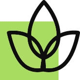 Luxurious Self-Sustainable Villas